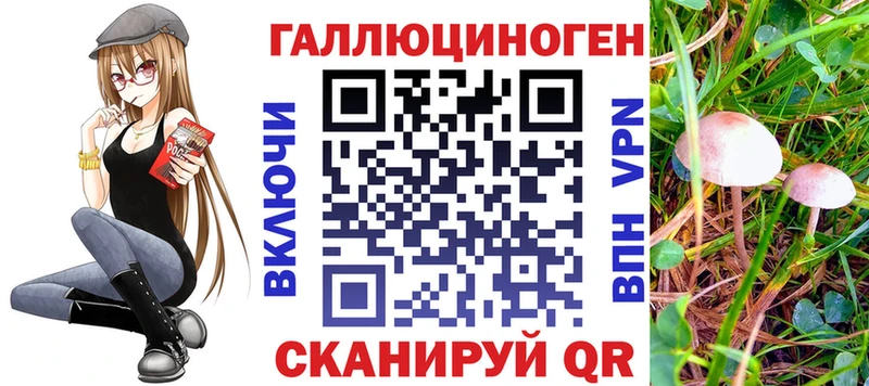 Псилоцибиновые грибы Psilocybine cubensis  даркнет сайт  Мглин 